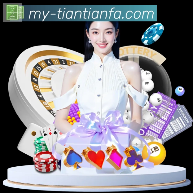未来规划